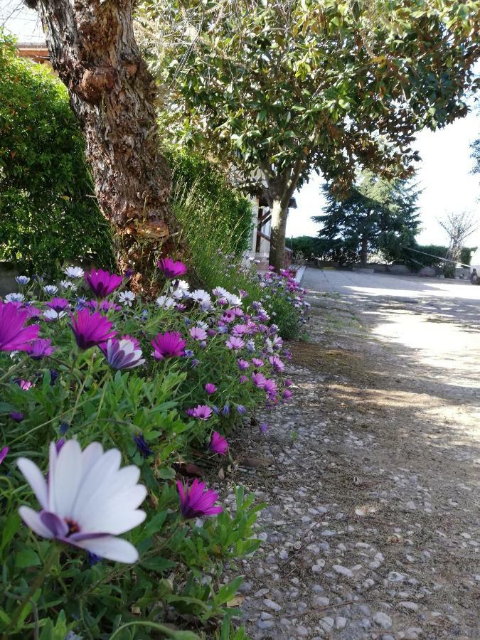 Casa Noemi Διαμέρισμα Sperlonga Εξωτερικό φωτογραφία